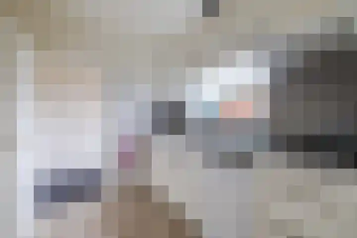 Nieuwstraat 31 Vroomshoop thumbnail 12