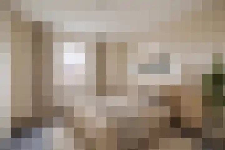 Nieuwstraat 31 Vroomshoop thumbnail 17