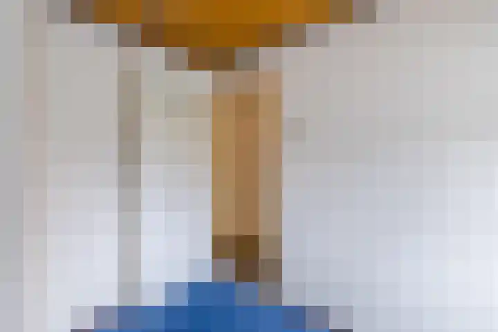 Nieuwstraat 31 Vroomshoop thumbnail 26