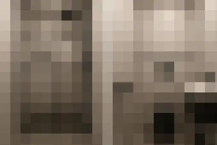Nieuwstraat 31 Vroomshoop thumbnail 28