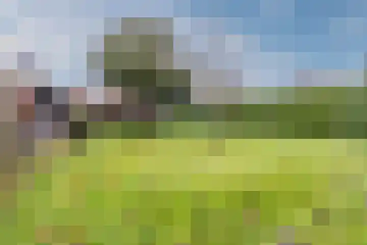 Nieuwstraat 31 Vroomshoop thumbnail 36