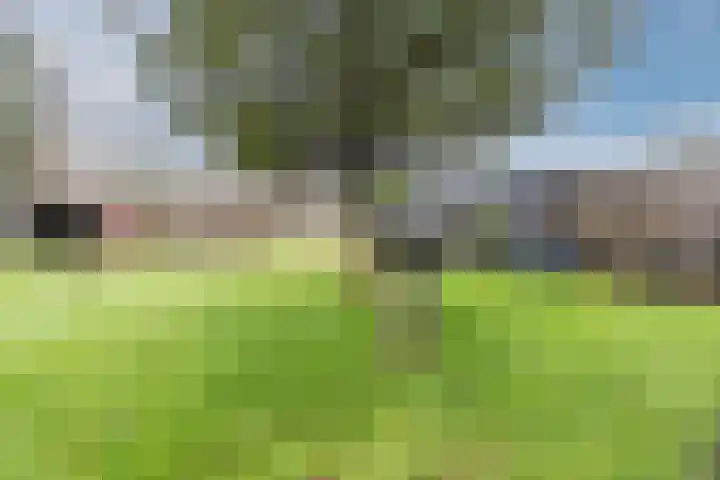 Nieuwstraat 31 Vroomshoop thumbnail 37