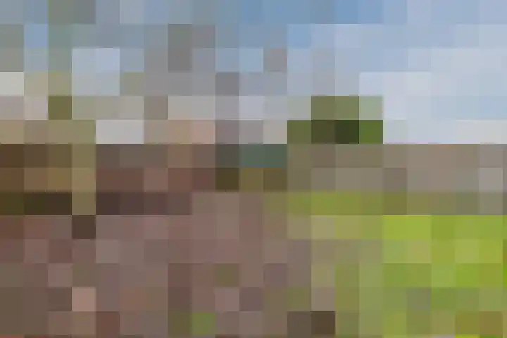 Nieuwstraat 31 Vroomshoop thumbnail 38
