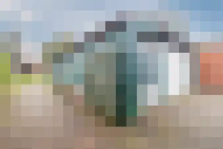 Nieuwstraat 31 Vroomshoop thumbnail 40