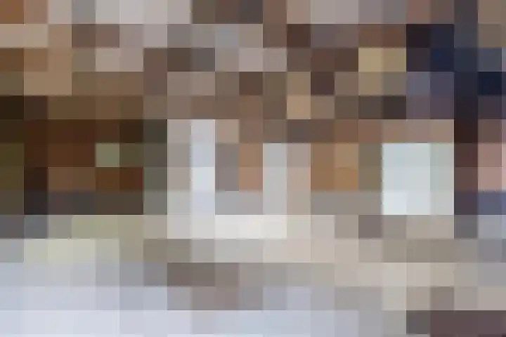 Nieuwstraat 31 Vroomshoop thumbnail 42