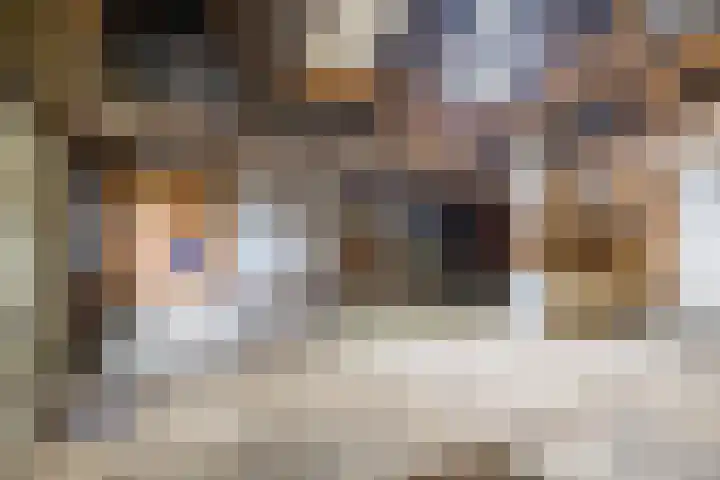 Nieuwstraat 31 Vroomshoop thumbnail 43