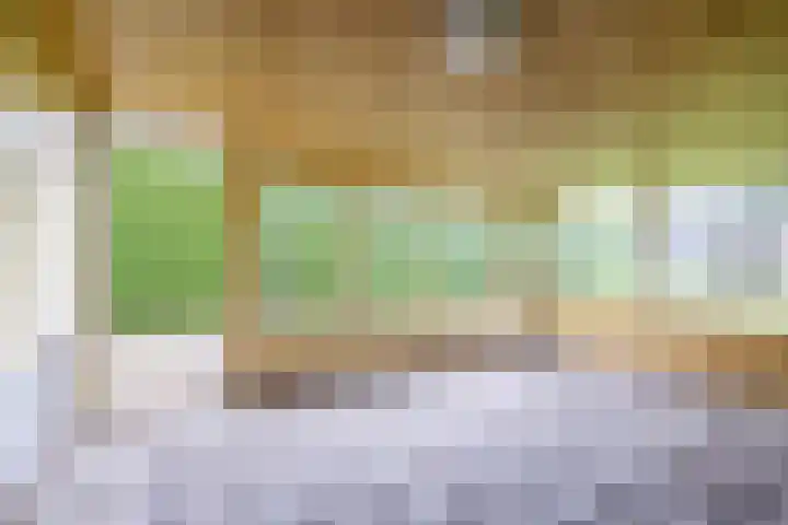 Nieuwstraat 31 Vroomshoop thumbnail 47