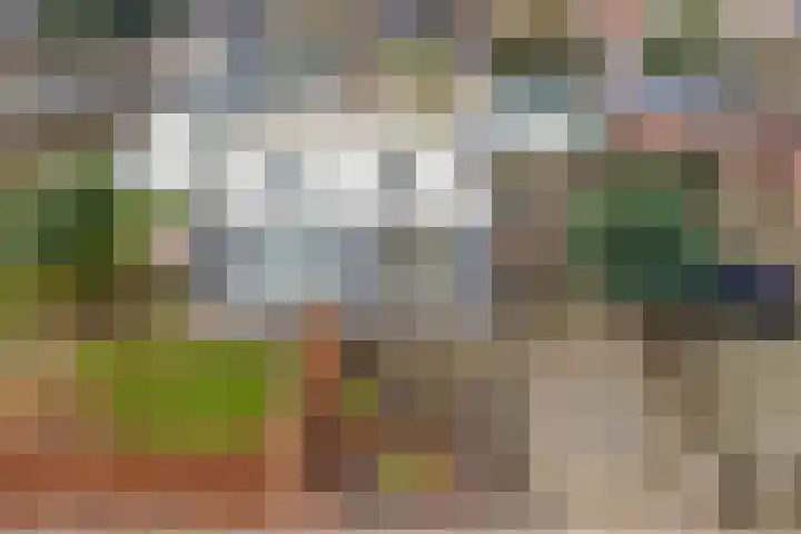 Nieuwstraat 31 Vroomshoop thumbnail 48