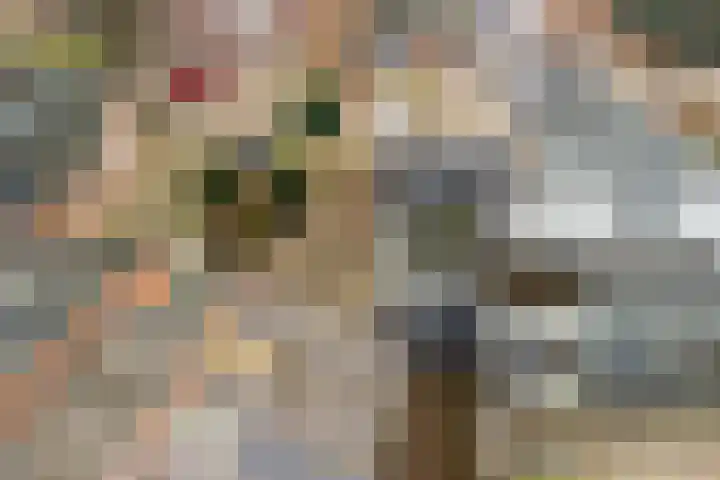 Nieuwstraat 31 Vroomshoop thumbnail 49