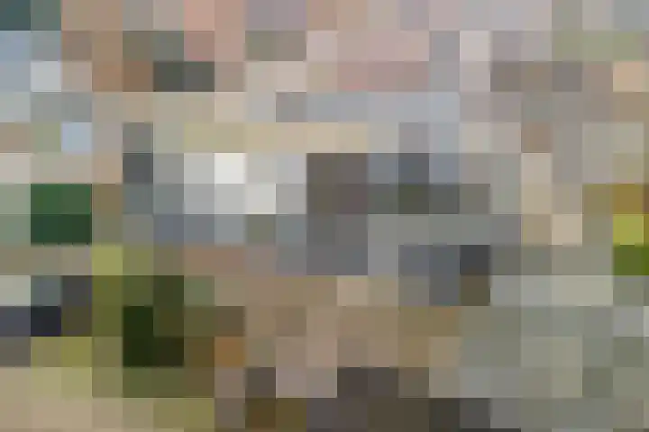 Nieuwstraat 31 Vroomshoop thumbnail 50