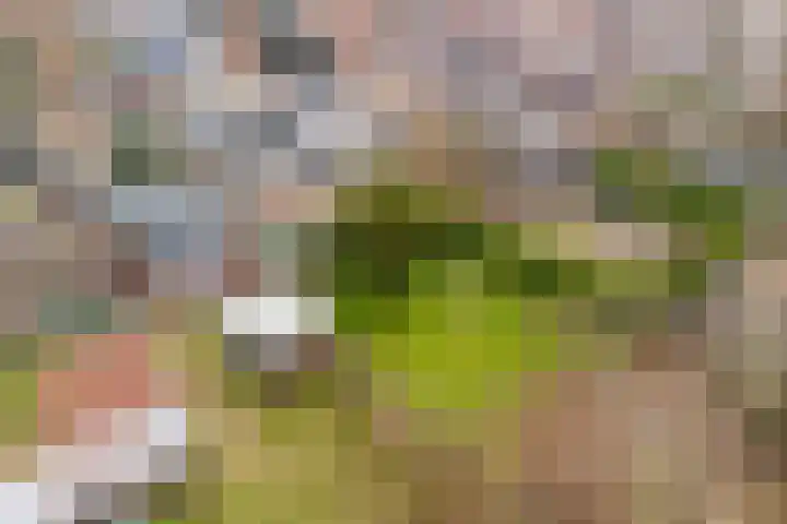 Nieuwstraat 31 Vroomshoop thumbnail 51