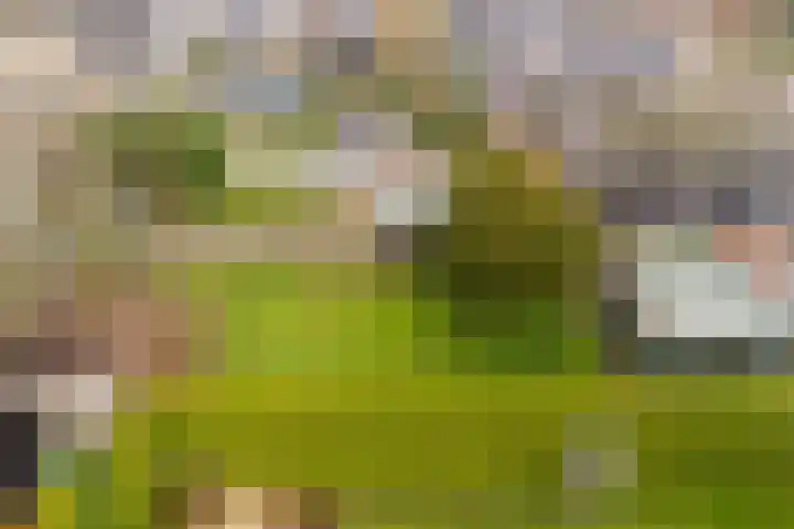 Nieuwstraat 31 Vroomshoop thumbnail 53