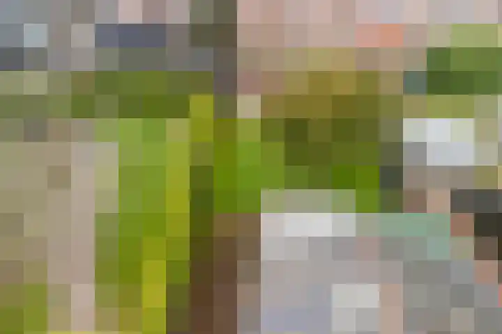 Nieuwstraat 31 Vroomshoop thumbnail 55
