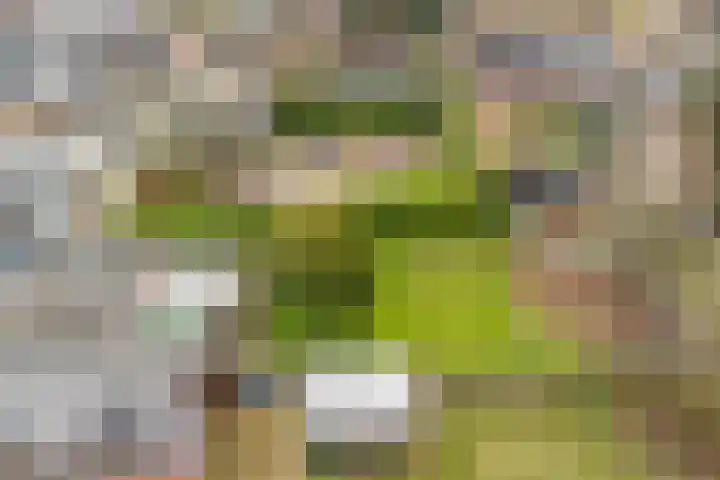 Nieuwstraat 31 Vroomshoop thumbnail 56