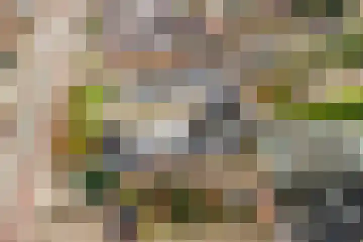 Nieuwstraat 31 Vroomshoop thumbnail 57