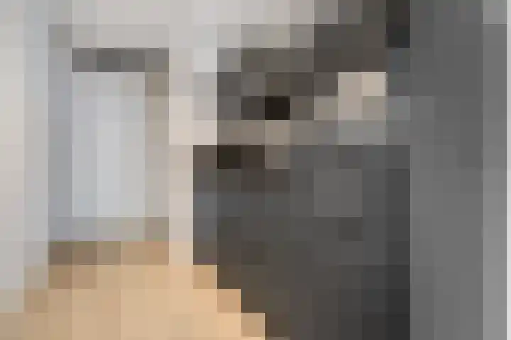 Nieuwstraat 32 E Zwolle thumbnail 4
