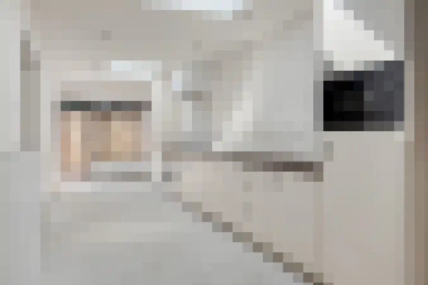 Nieuwstraat 32 Eede thumbnail 11