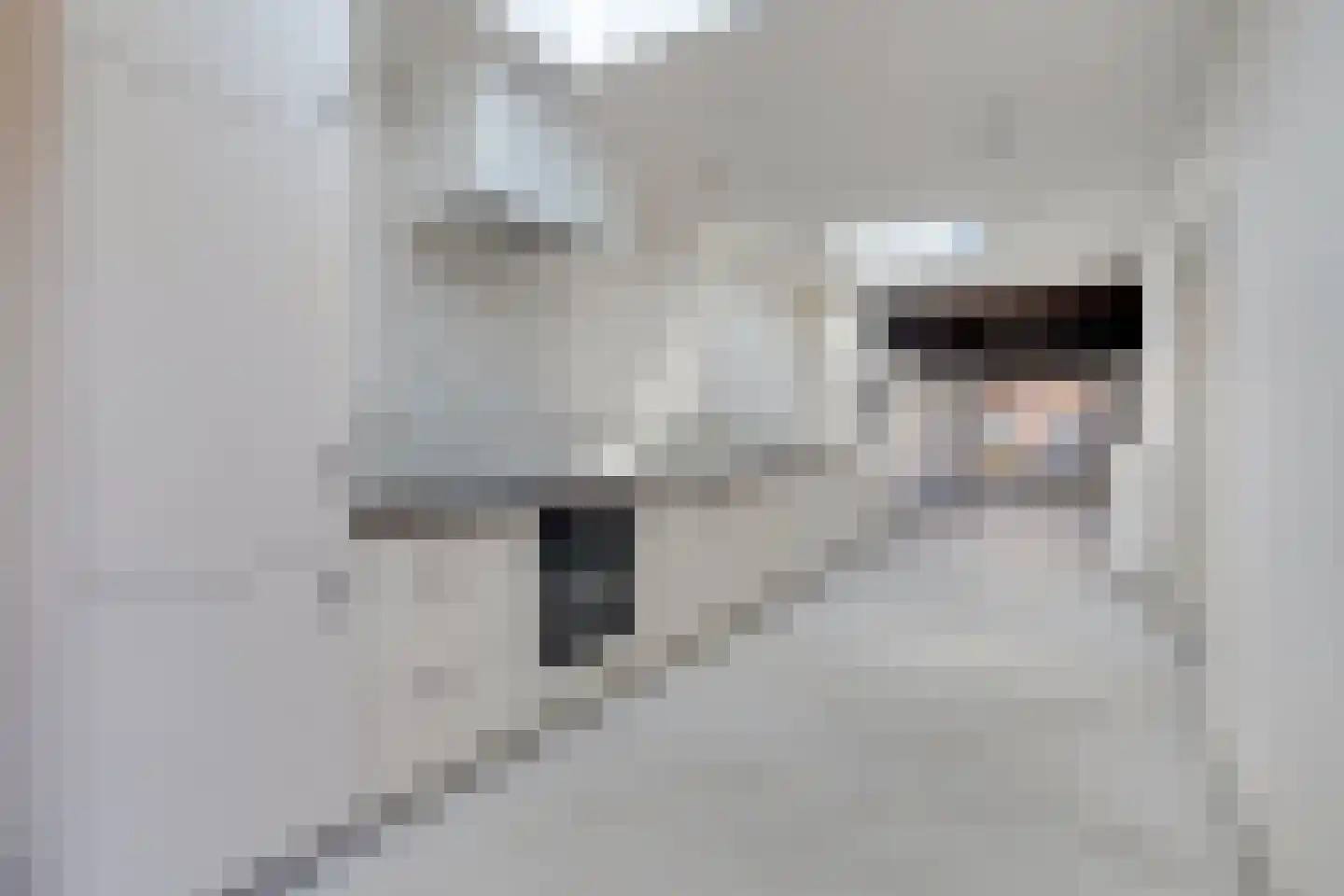 Nieuwstraat 32 Eede thumbnail 14