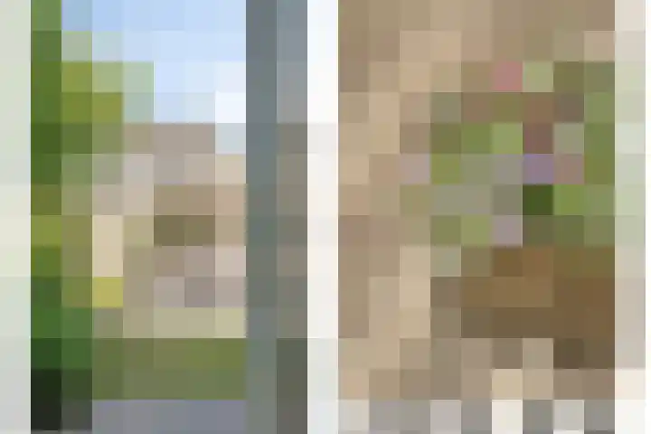Nieuwstraat 32 Eede thumbnail 17