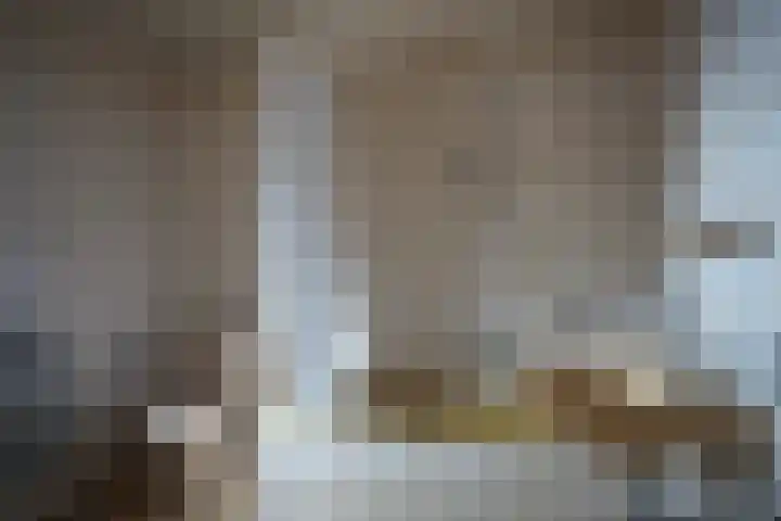 Nieuwstraat 32 Eede thumbnail 19