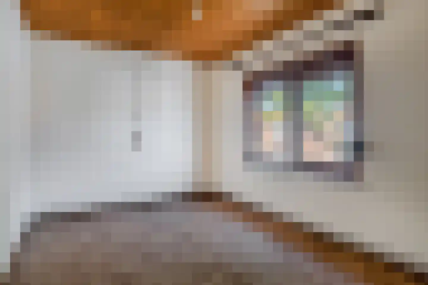 Nieuwstraat 32 Eede thumbnail 24