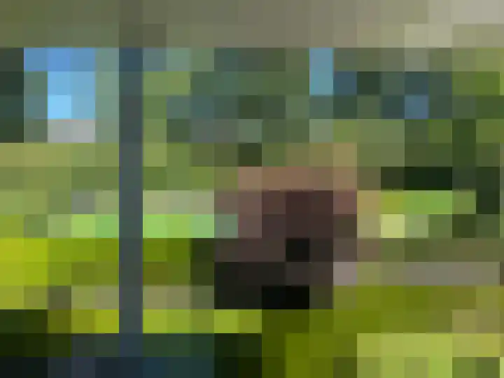 Nieuwstraat 32 Eede thumbnail 25