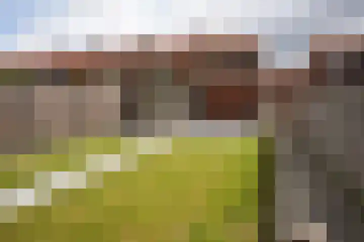 Nieuwstraat 32 Eede thumbnail 38