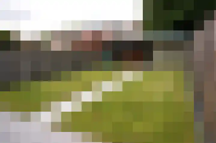 Nieuwstraat 32 Eede thumbnail 39