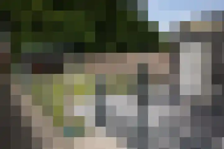 Nieuwstraat 32 Eede thumbnail 42