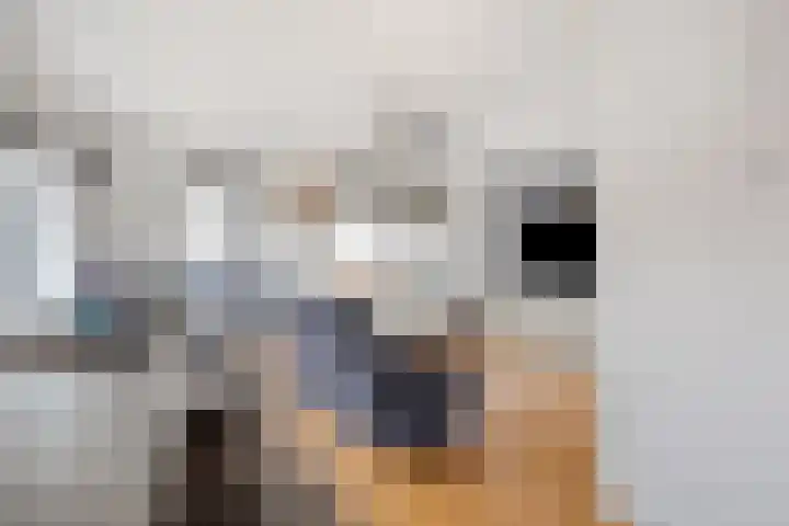 Nieuwstraat 32 Eede thumbnail 47