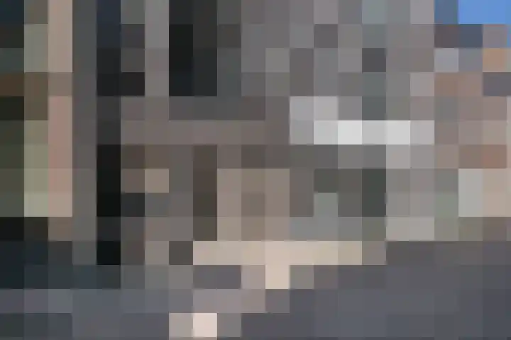 Nieuwstraat 32 H Zwolle thumbnail 19