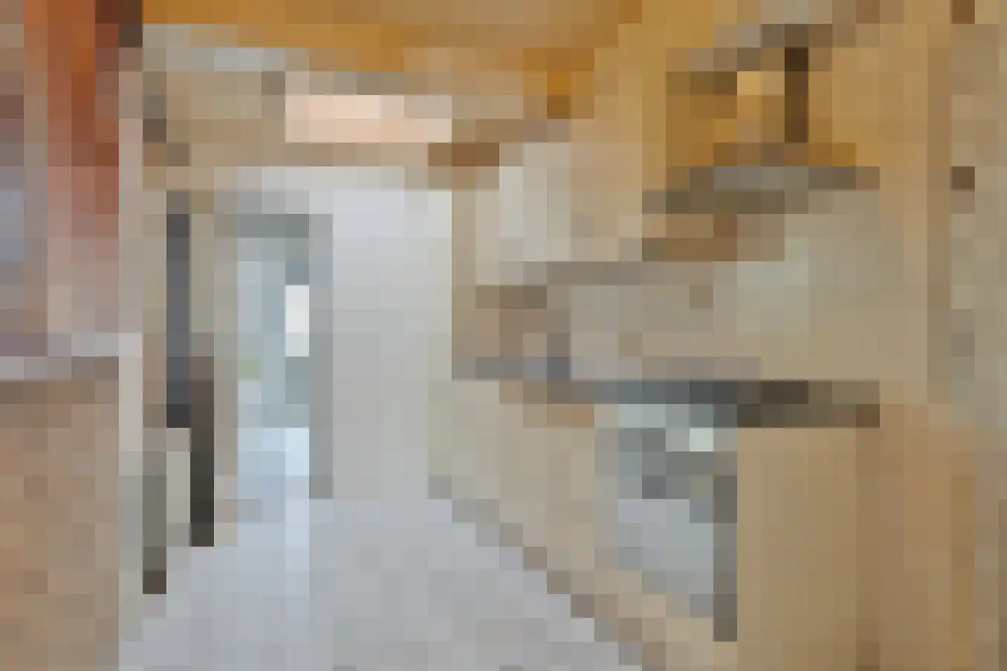 Nieuwstraat 32 Lage Zwaluwe thumbnail 13