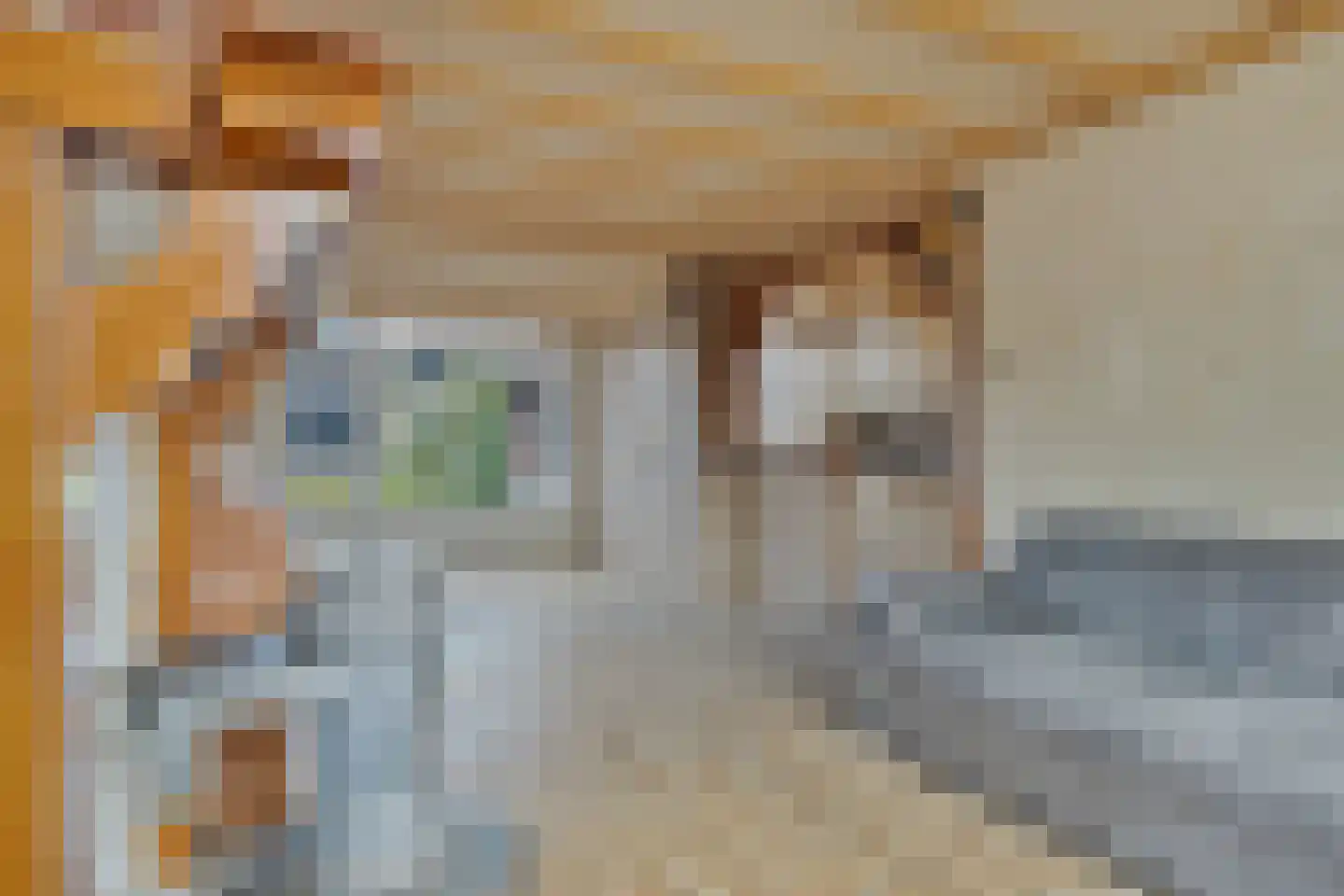 Nieuwstraat 32 Lage Zwaluwe thumbnail 17