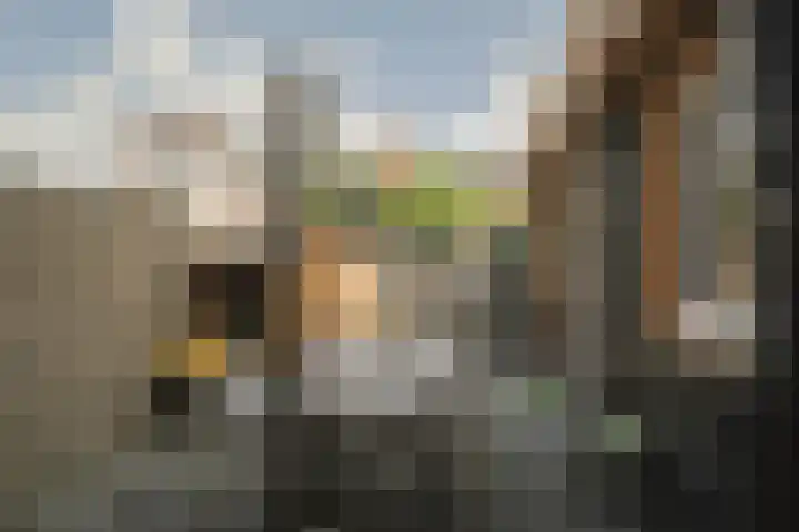 Nieuwstraat 32 Leerdam thumbnail 20