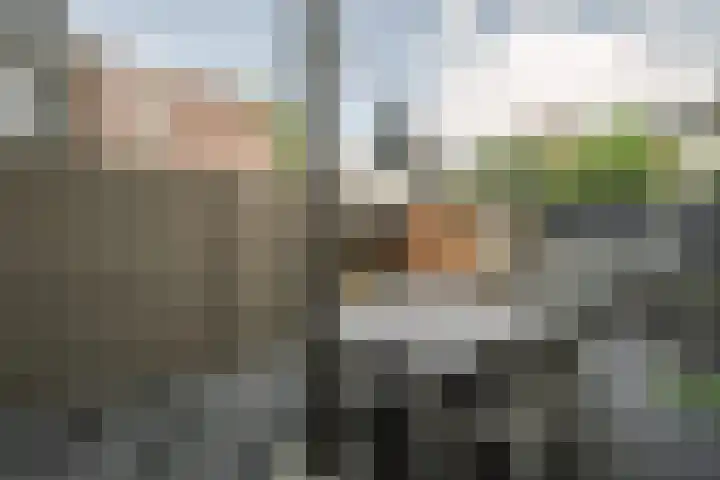 Nieuwstraat 32 Leerdam thumbnail 21