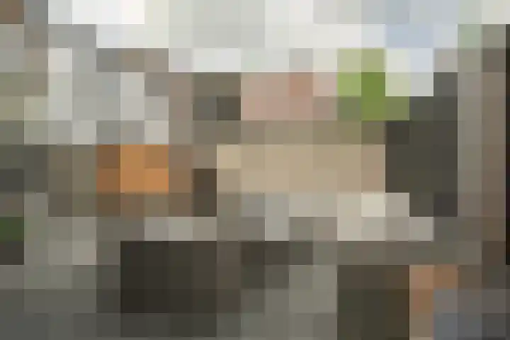 Nieuwstraat 32 Leerdam thumbnail 24