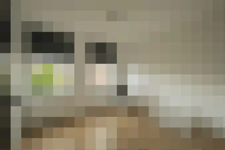 Nieuwstraat 32 Leerdam thumbnail 43
