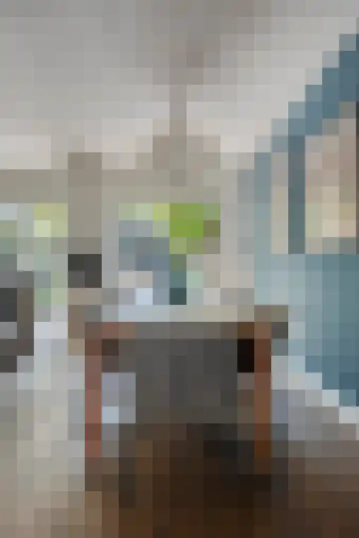 Nieuwstraat 32 Ravenstein thumbnail 21