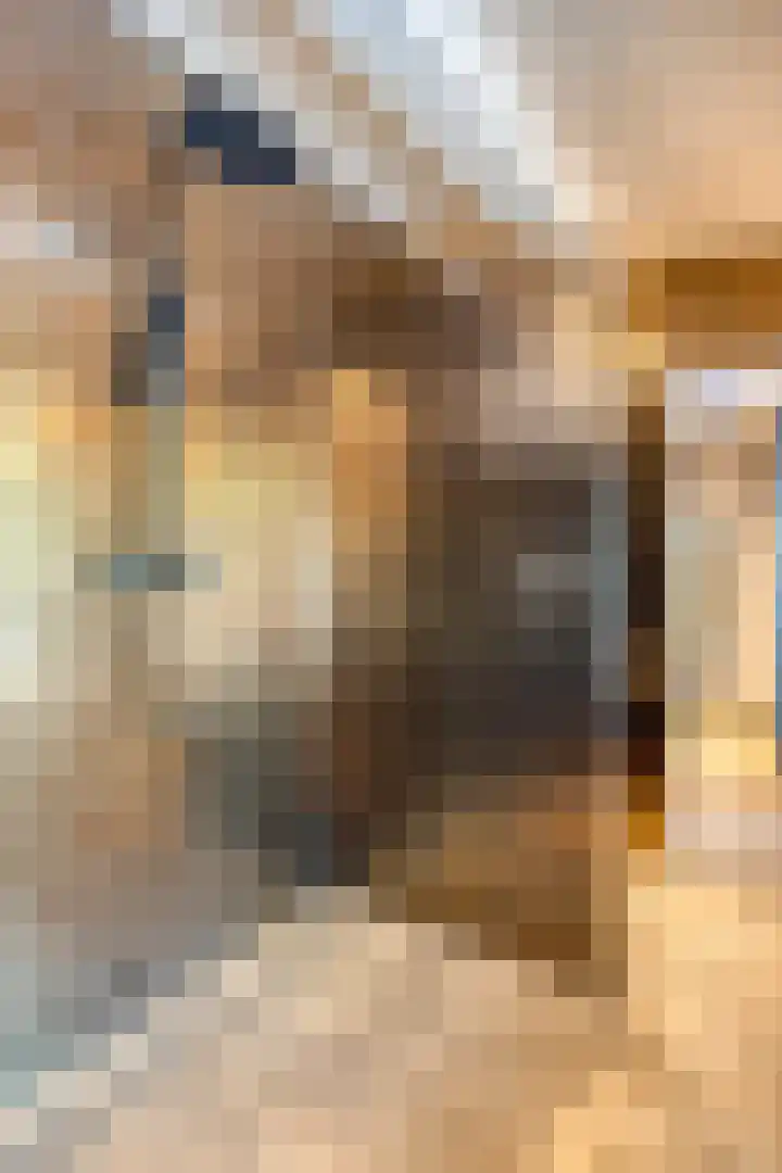 Nieuwstraat 32 Ravenstein thumbnail 31