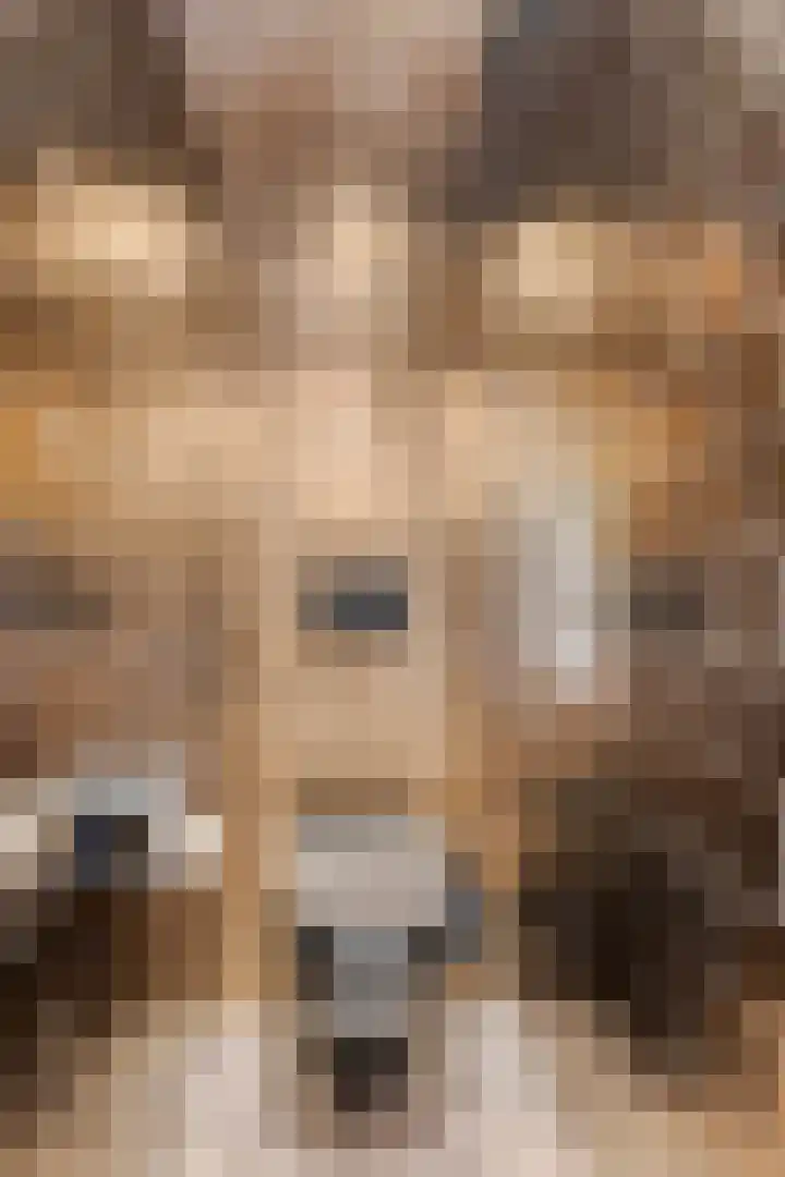Nieuwstraat 32 Ravenstein thumbnail 32