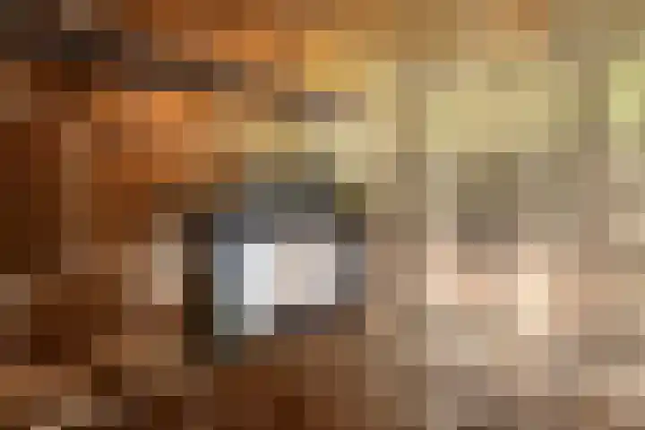 Nieuwstraat 32 Ravenstein thumbnail 33