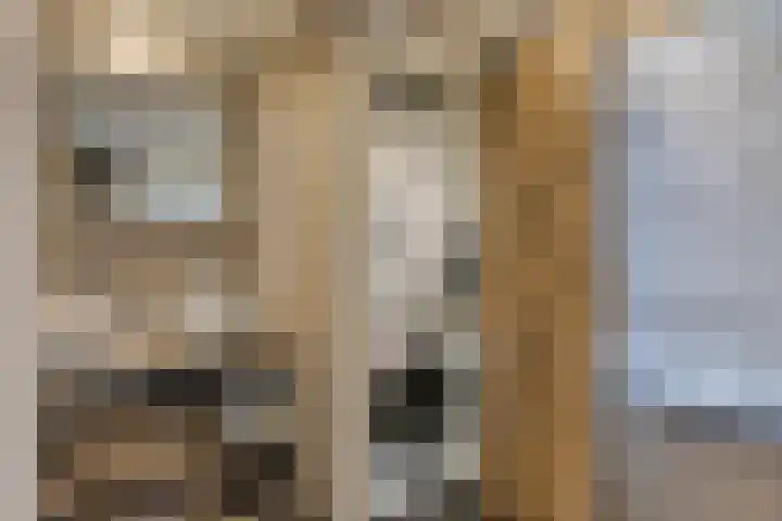 Nieuwstraat 32 Ravenstein thumbnail 39