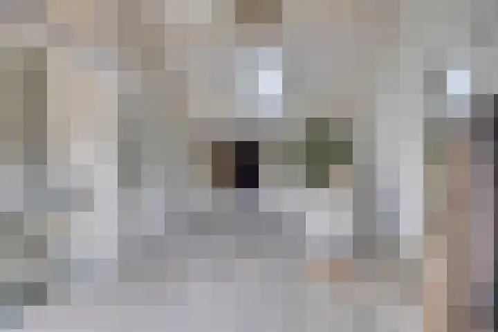 Nieuwstraat 32 Ravenstein thumbnail 51