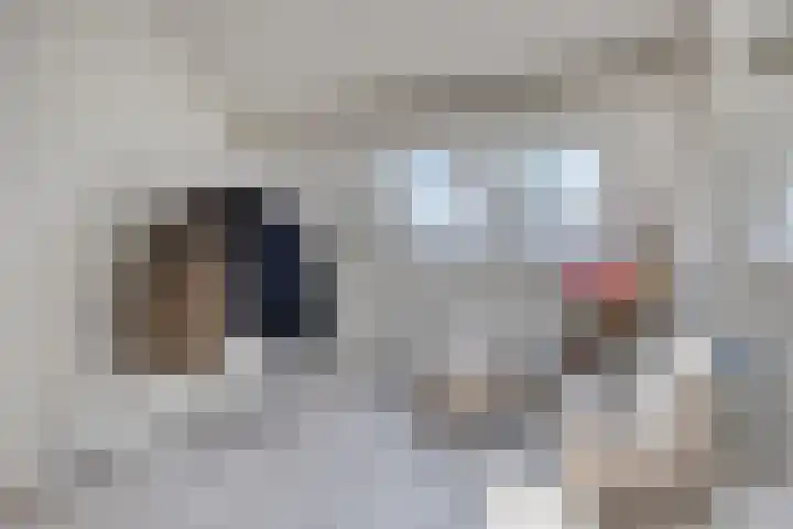 Nieuwstraat 32 Ravenstein thumbnail 53