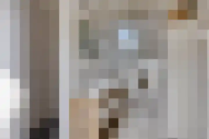 Nieuwstraat 32 Ravenstein thumbnail 55