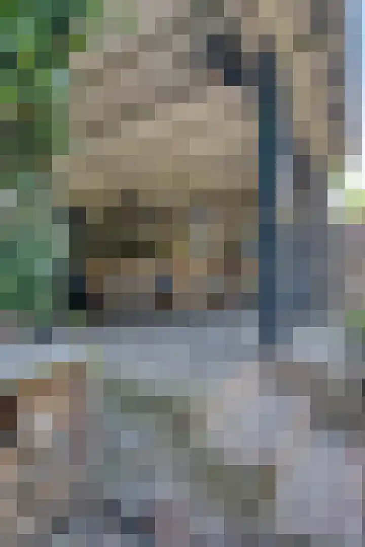 Nieuwstraat 32 Ravenstein thumbnail 66