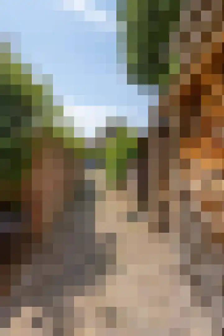 Nieuwstraat 32 Ravenstein thumbnail 68