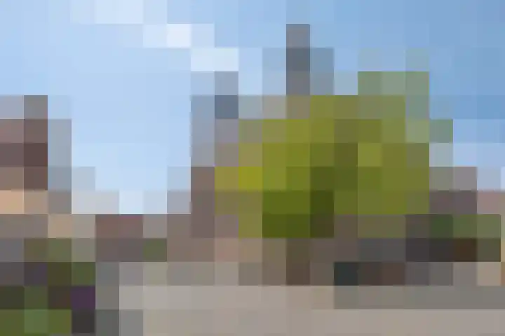 Nieuwstraat 32 Ravenstein thumbnail 69