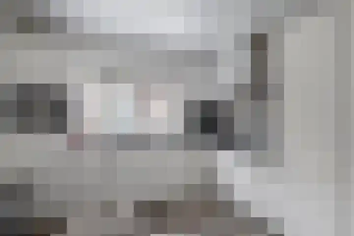 Nieuwstraat 33 Stad aan 't Haringvliet thumbnail 16
