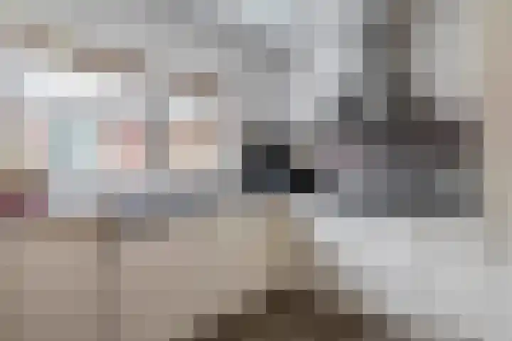 Nieuwstraat 33 Stad aan 't Haringvliet thumbnail 17